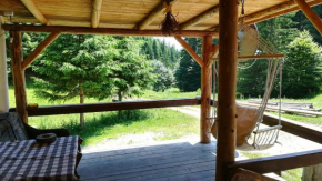 Cabana Pietricica